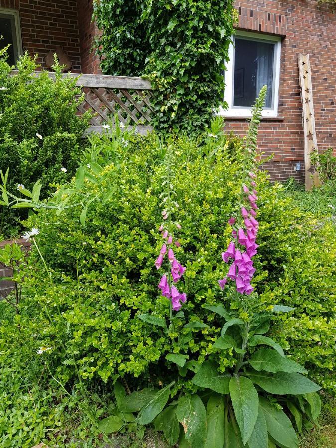 Ferienwohnung Im Naturgarten Schneverdingen Luaran gambar